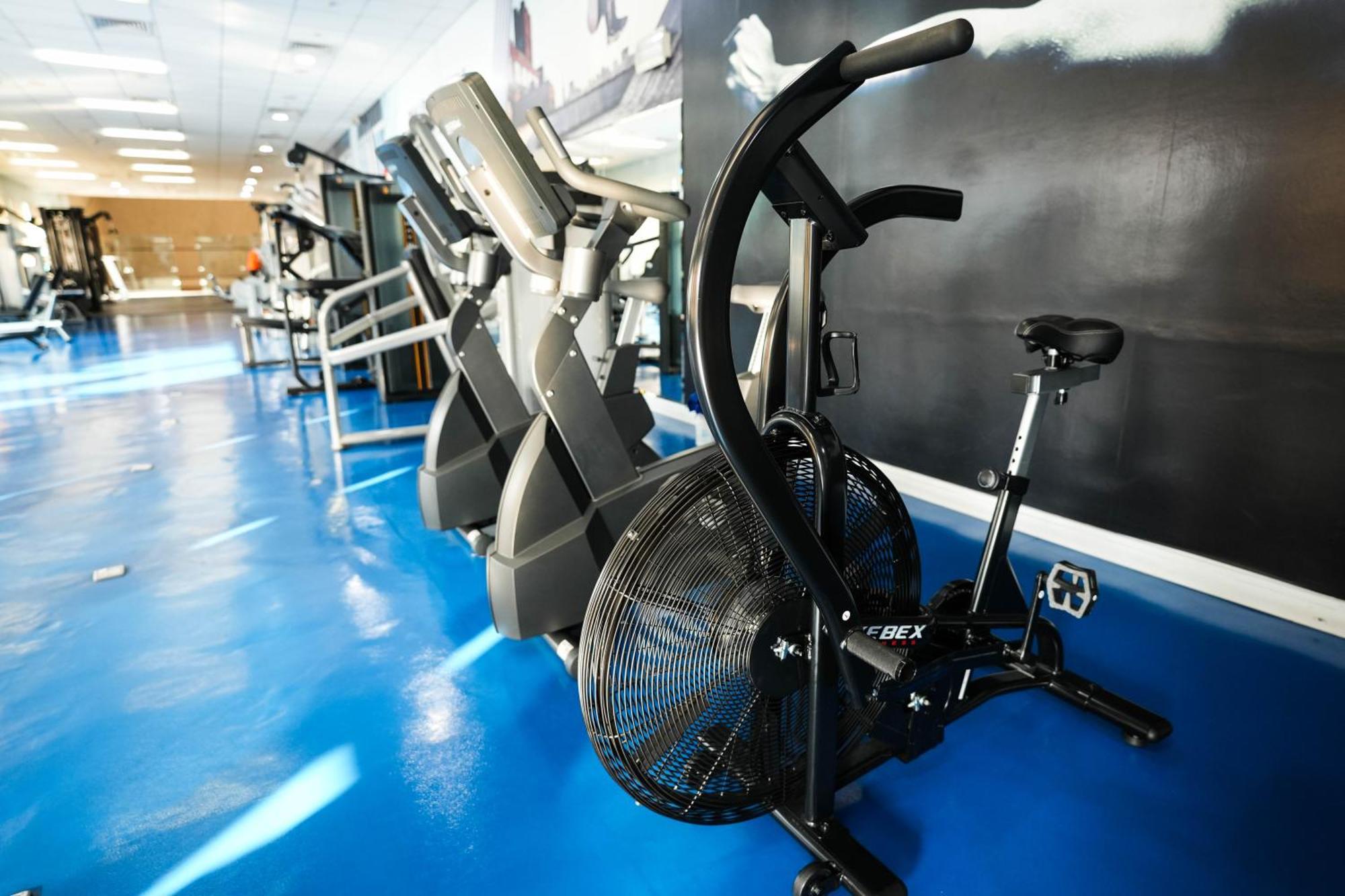 Готель Moevenpick Grand Al Bustan Дубай Екстер'єр фото Air bike